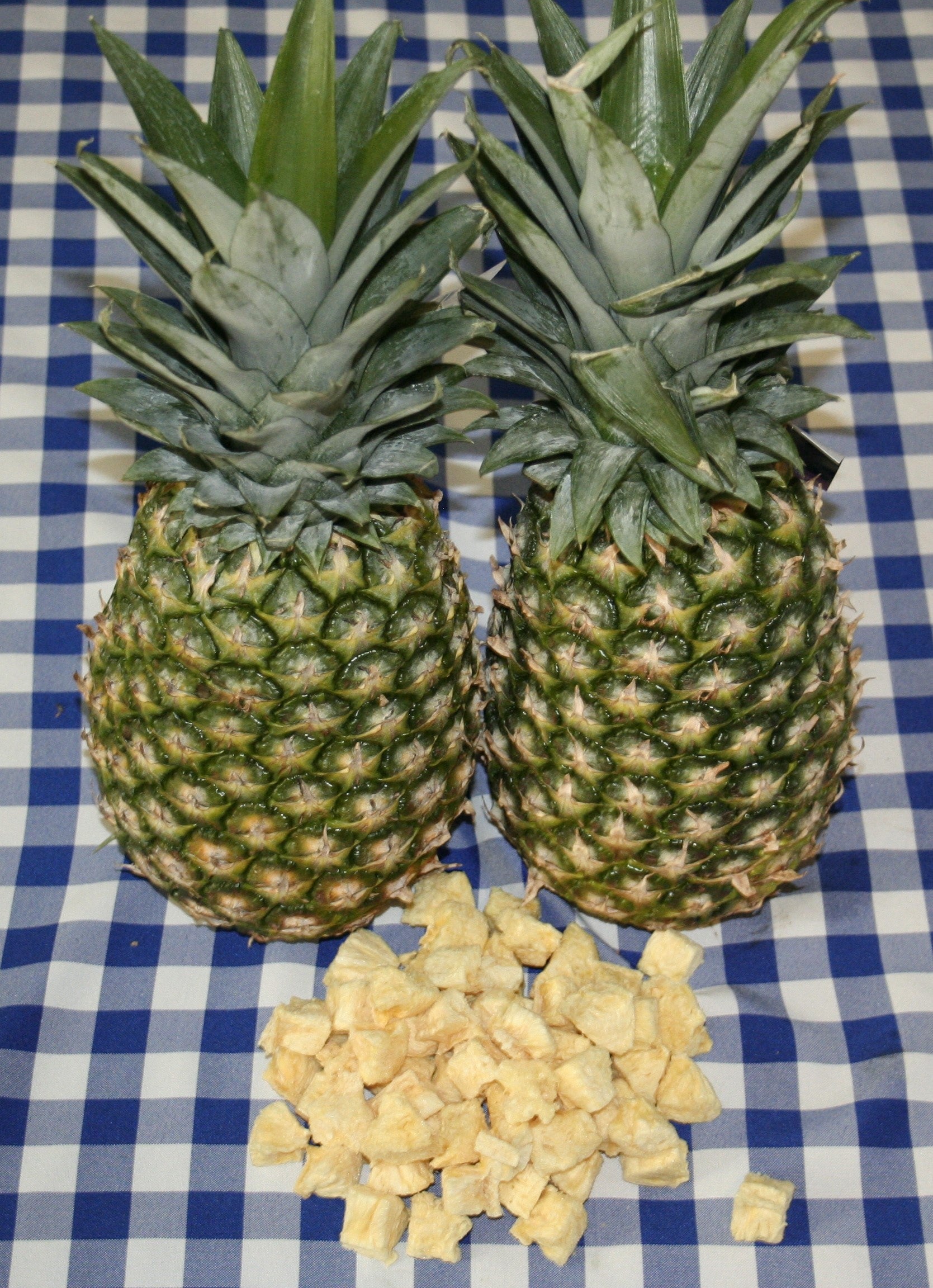 Freeze-Dried Pineapple Bites